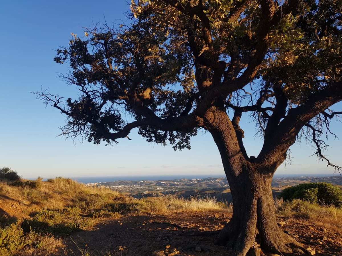 Land in Valtocado — photo 1 of 10