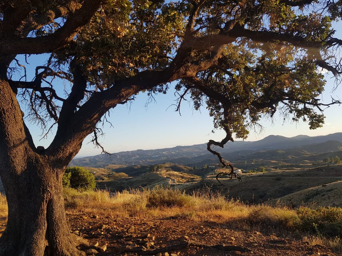 Land in Valtocado — photo 5 of 10