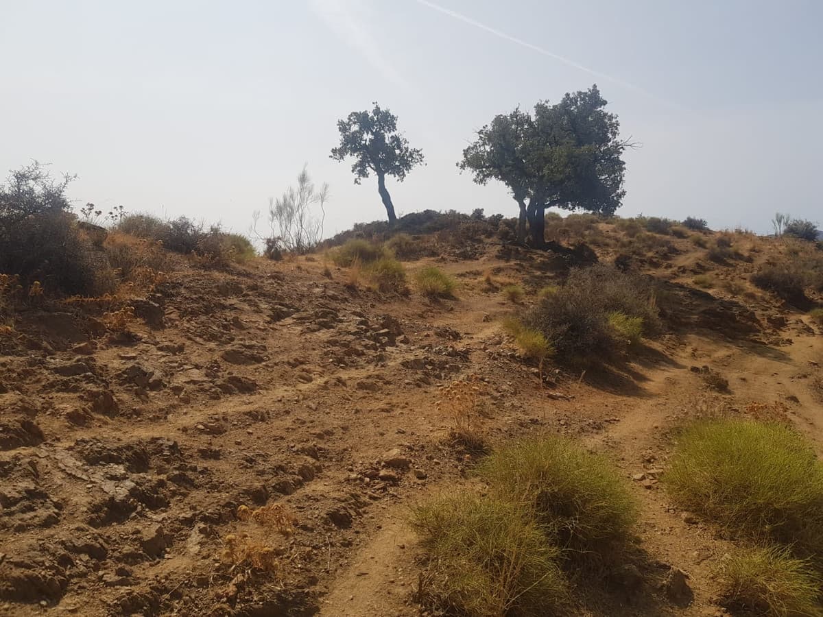 Land in Valtocado — photo 7 of 10