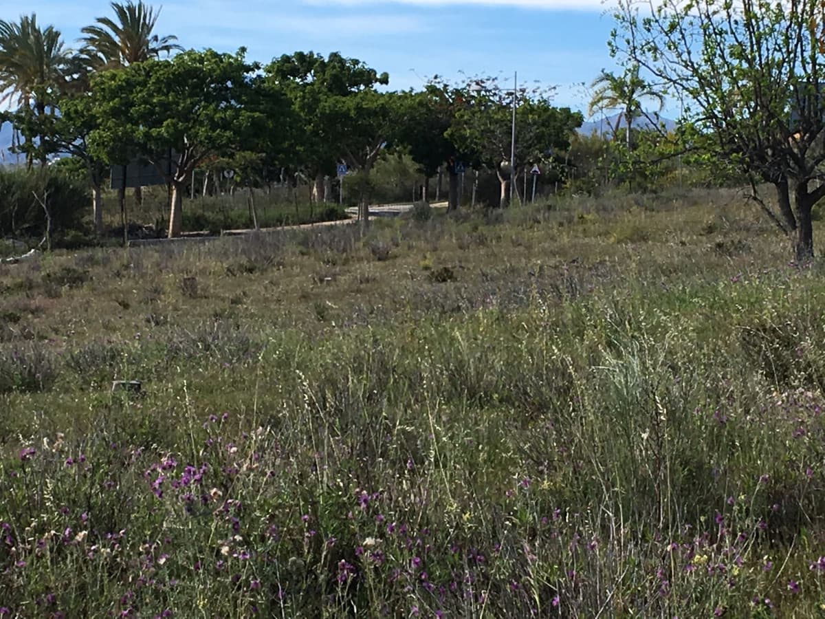 Land in Cancelada — photo 2 of 9