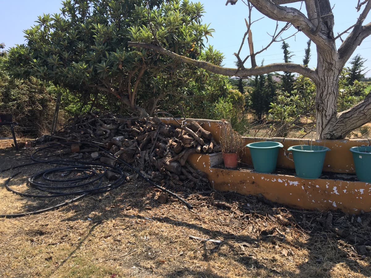 Land in Cancelada — photo 3 of 9