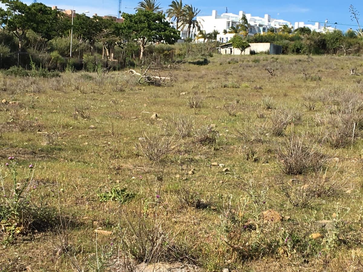 Land in Cancelada — photo 4 of 9