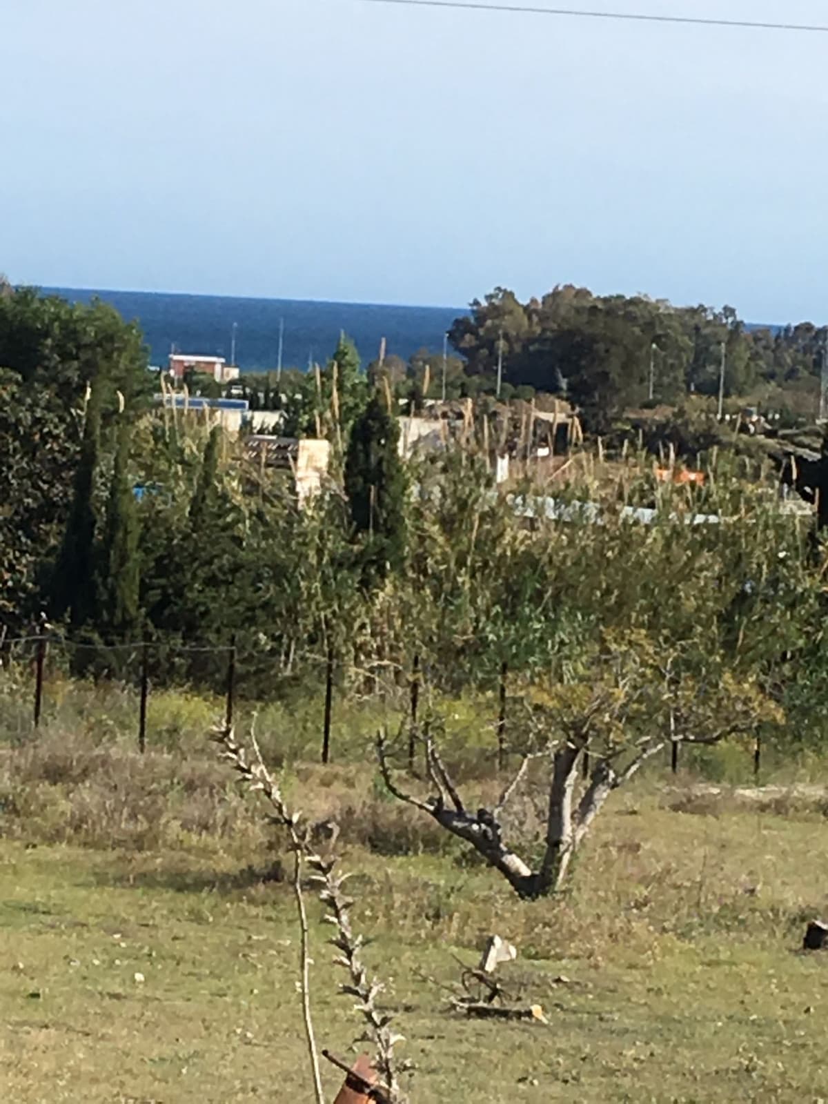 Land in Cancelada — photo 8 of 9