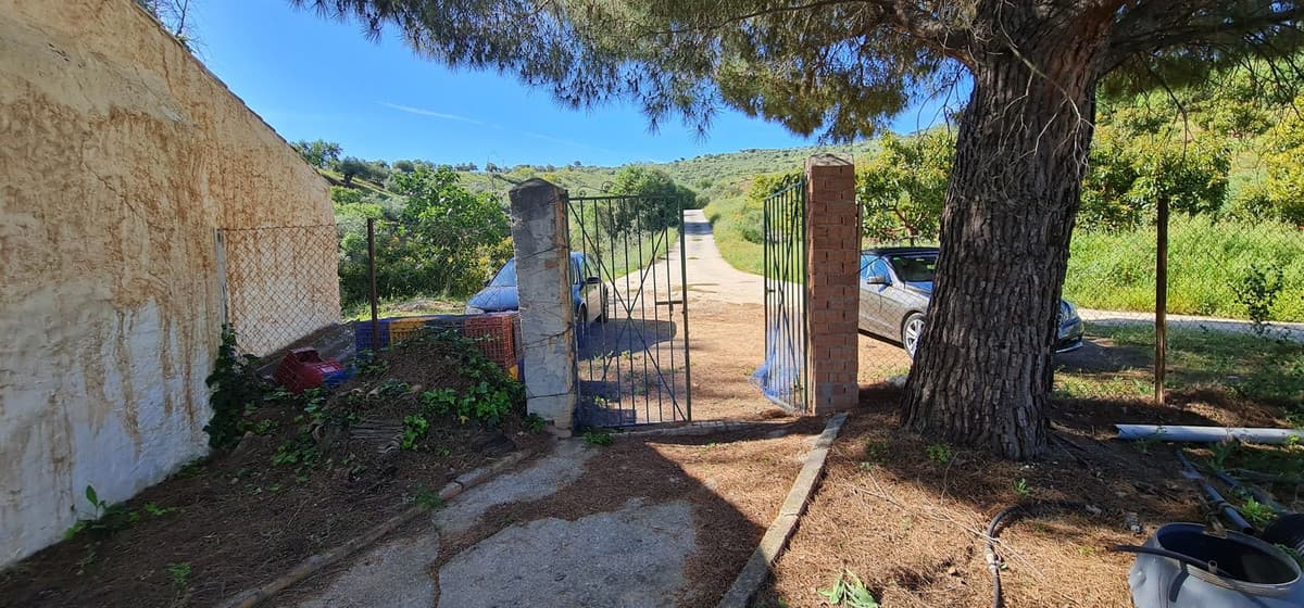 Detached Villa in Tolox — photo 4 of 10
