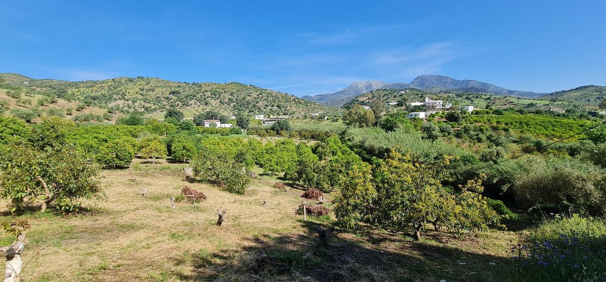 Land with Ruin in Tolox — photo 1 of 10