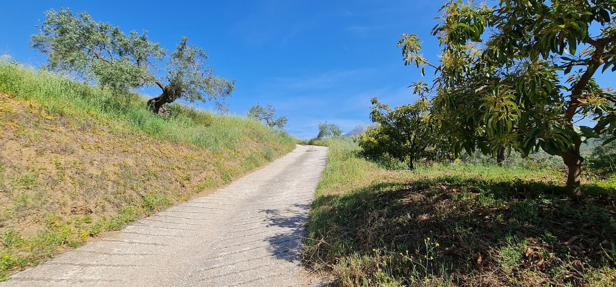Land with Ruin in Tolox — photo 4 of 10