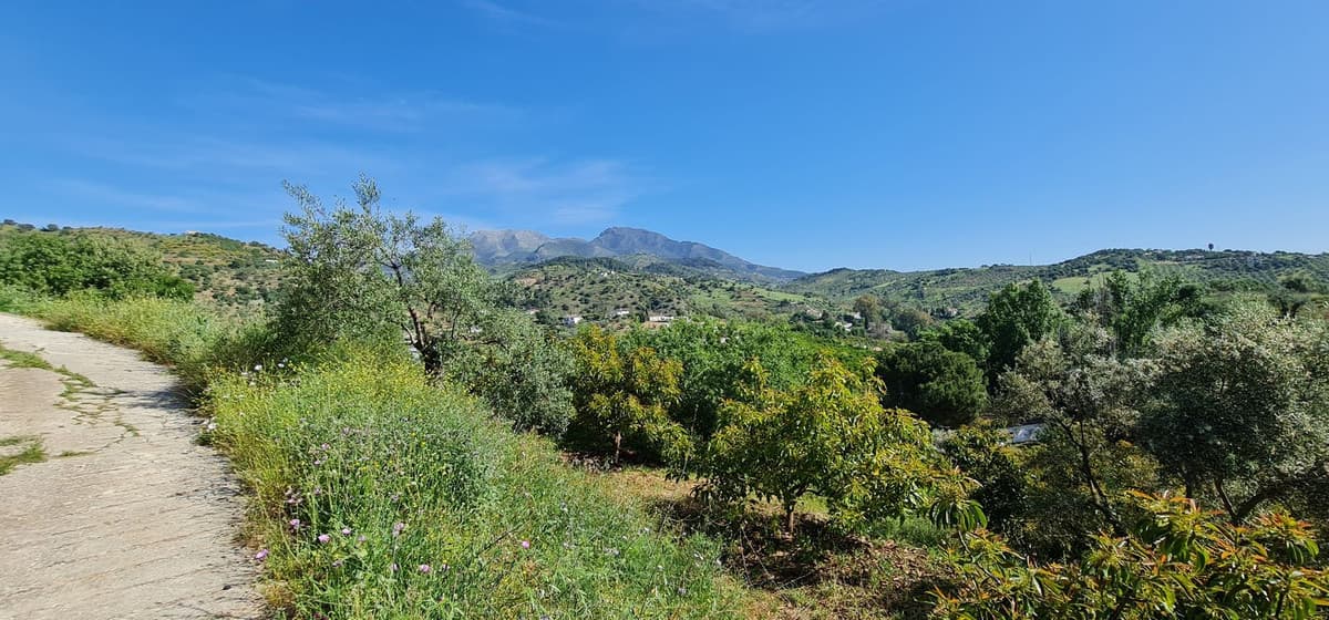 Land with Ruin in Tolox — photo 5 of 10
