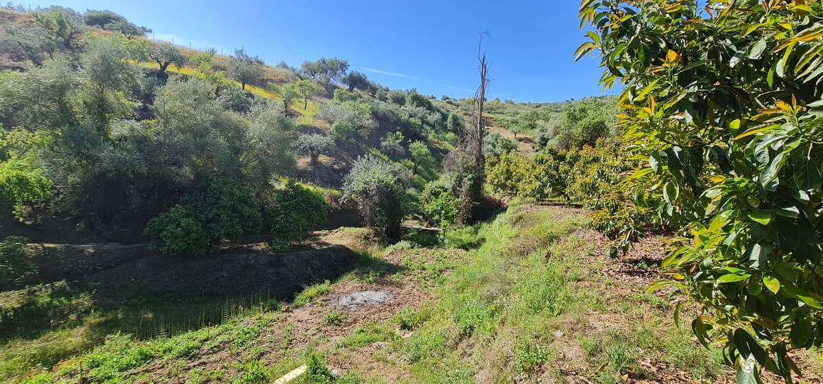 Land with Ruin in Tolox — photo 7 of 10