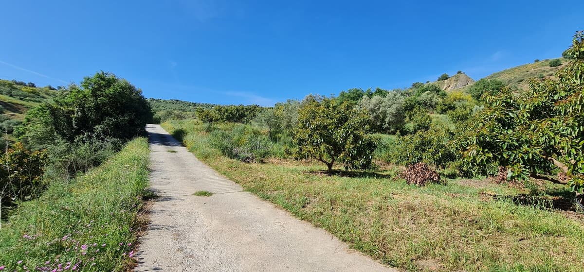 Land with Ruin in Tolox — photo 8 of 10