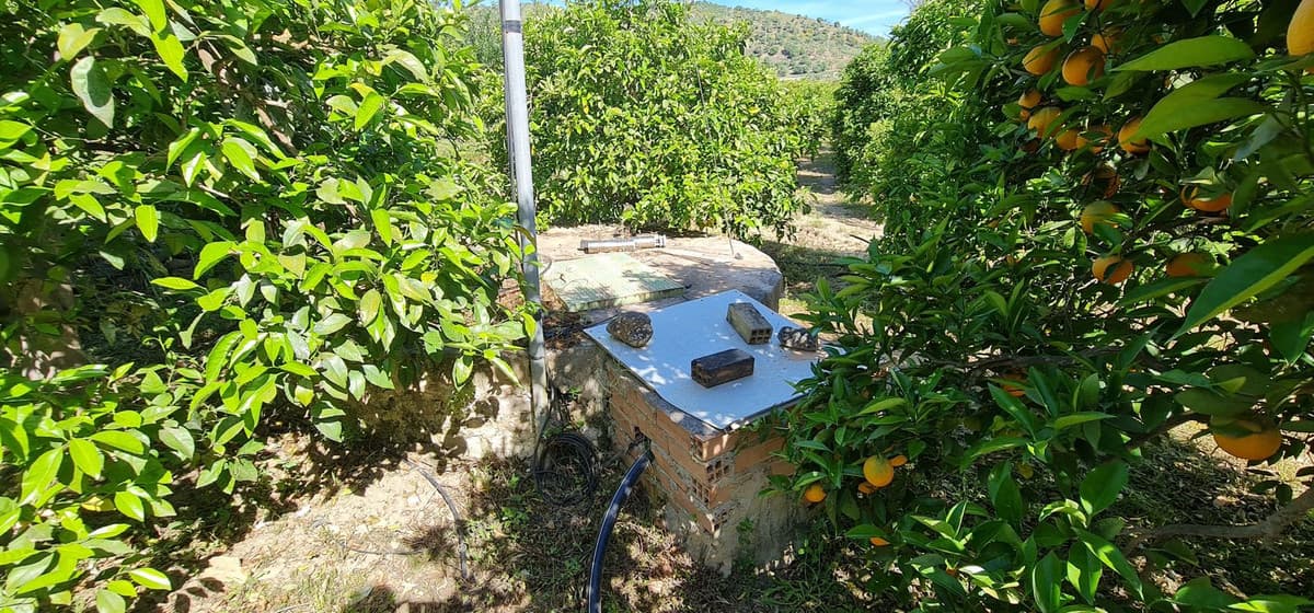 Land with Ruin in Tolox — photo 9 of 10