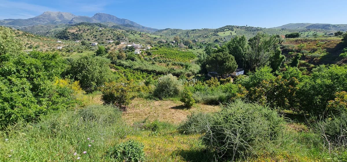 Land with Ruin in Tolox — photo 10 of 10