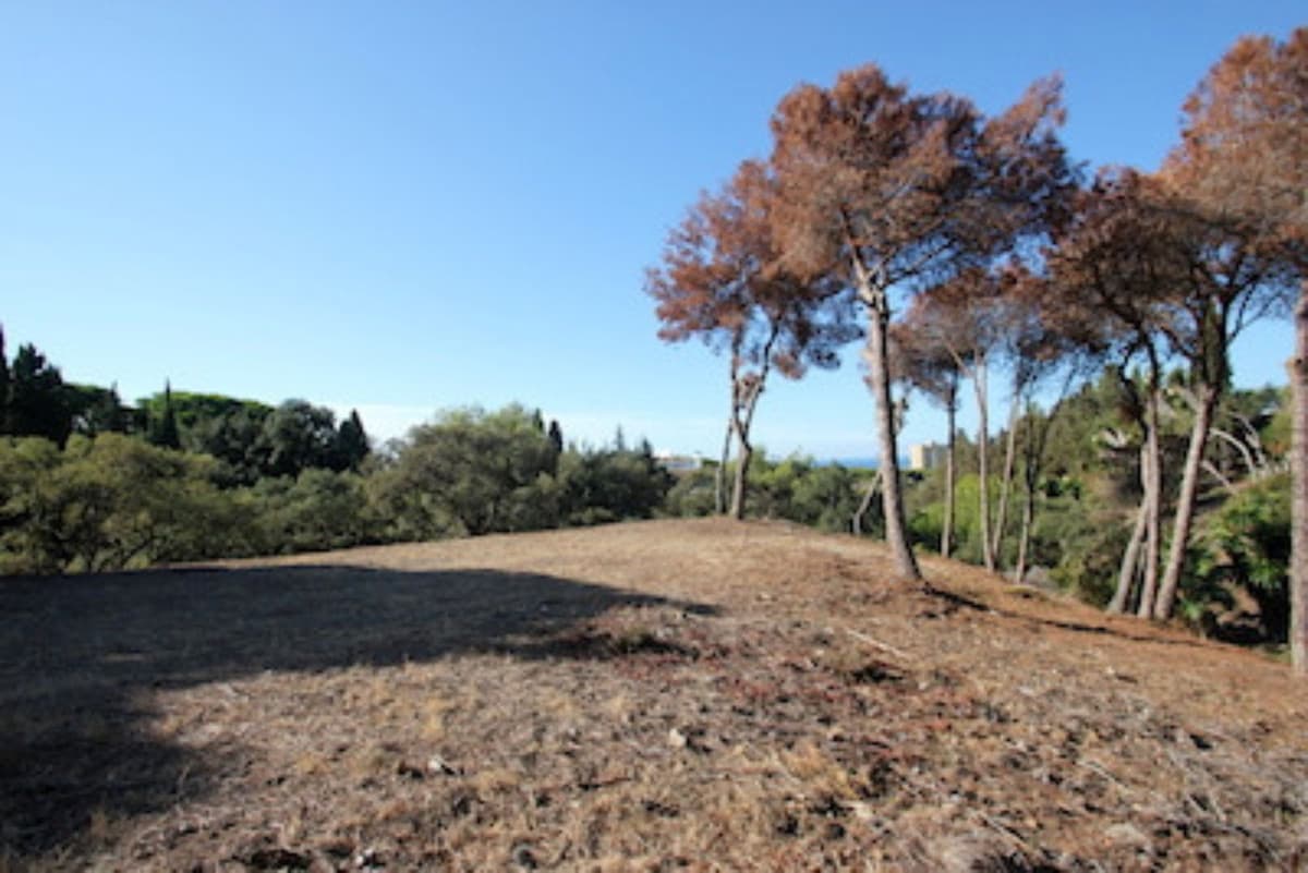 Residential Plot in Hacienda Las Chapas — photo 4 of 10