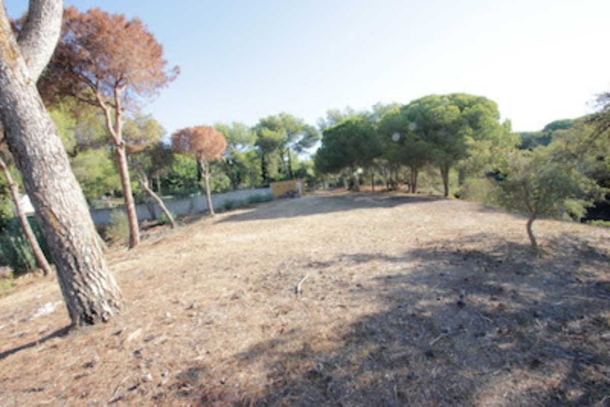 Residential Plot in Hacienda Las Chapas — photo 6 of 10