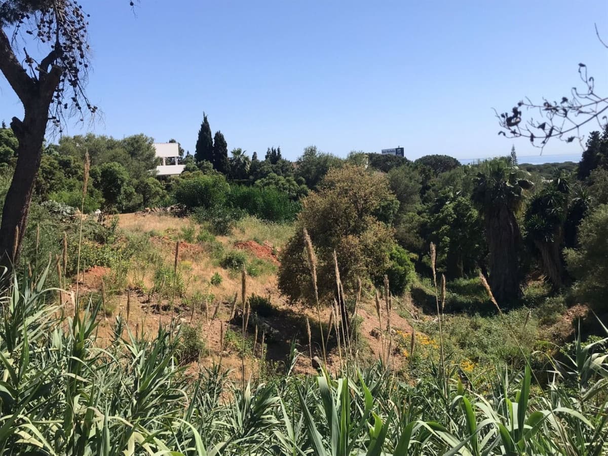 Residential Plot in Hacienda Las Chapas — photo 8 of 10