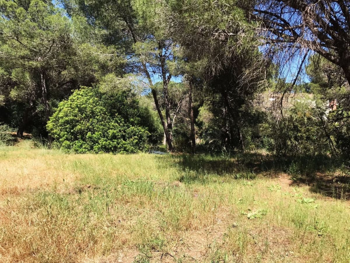 Residential Plot in Hacienda Las Chapas — photo 9 of 10