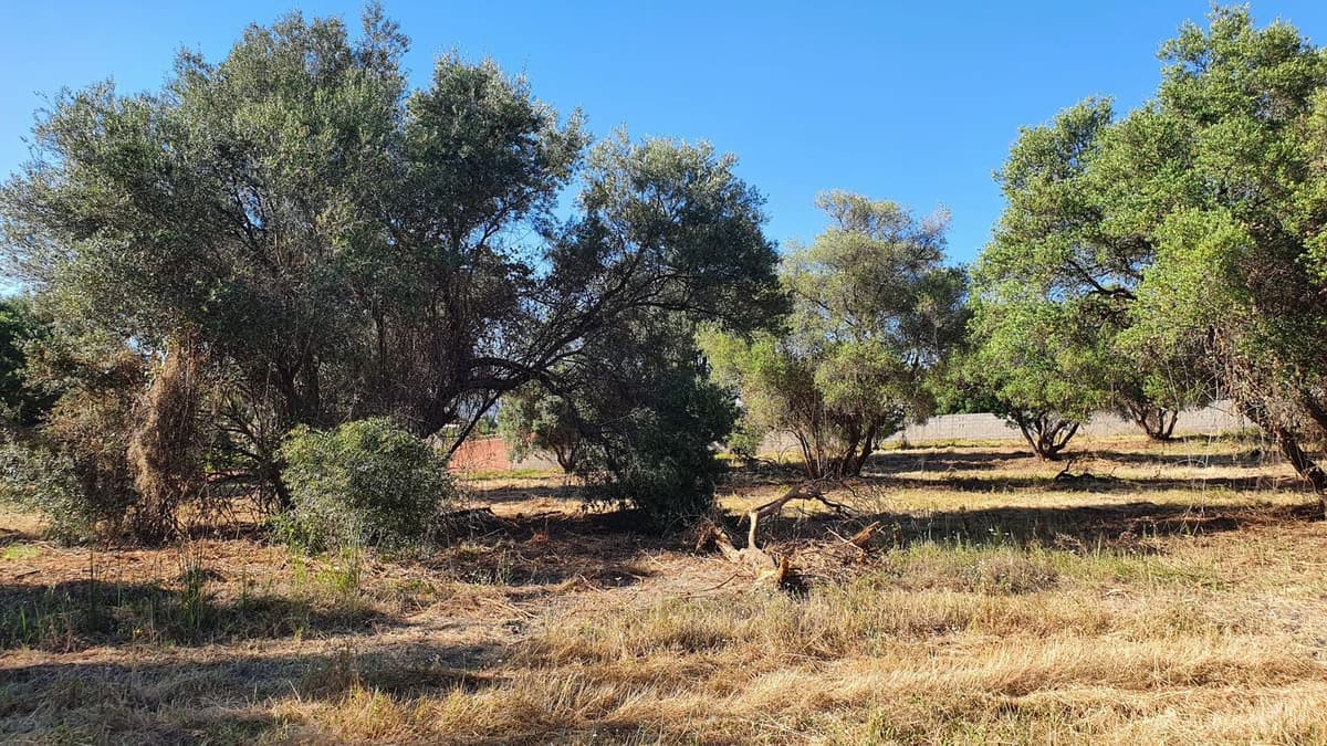Land in San Pedro de Alcántara — photo 1 of 5