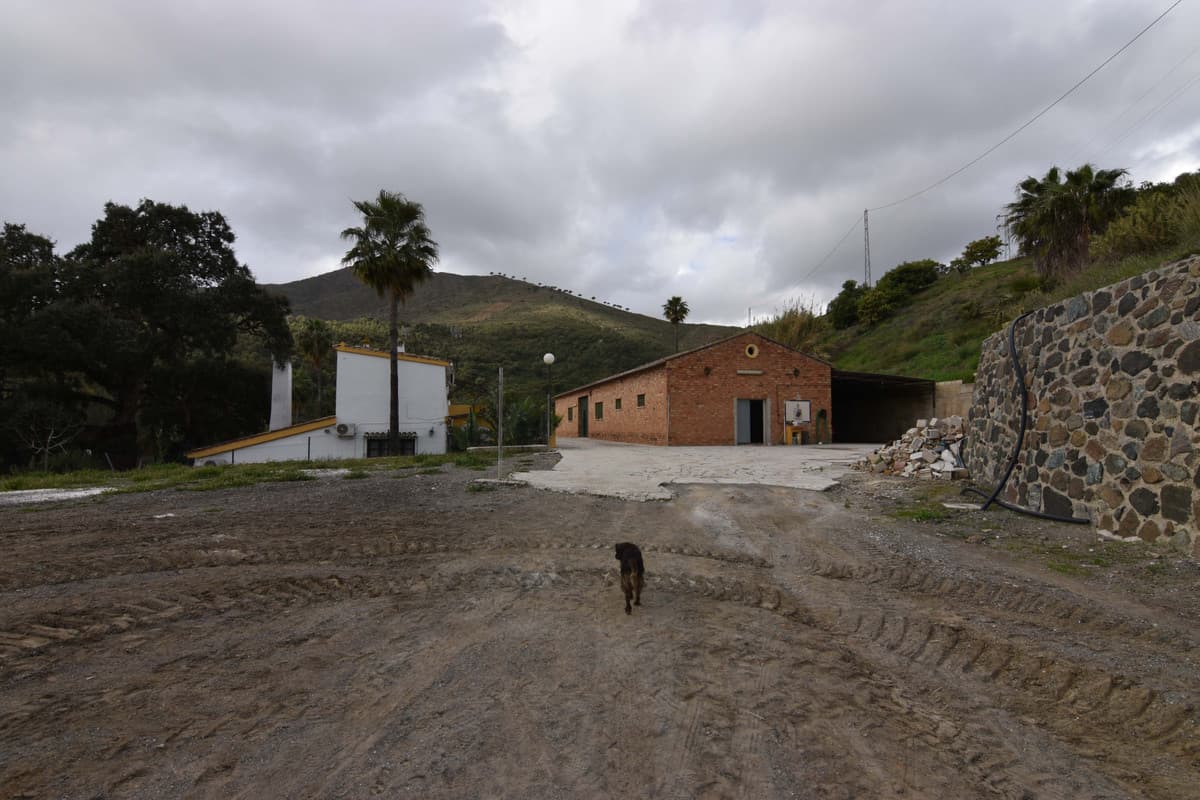 Cortijo in Mijas — photo 9 of 10