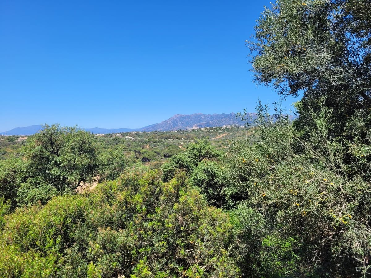Residential Plot in Elviria — photo 2 of 5