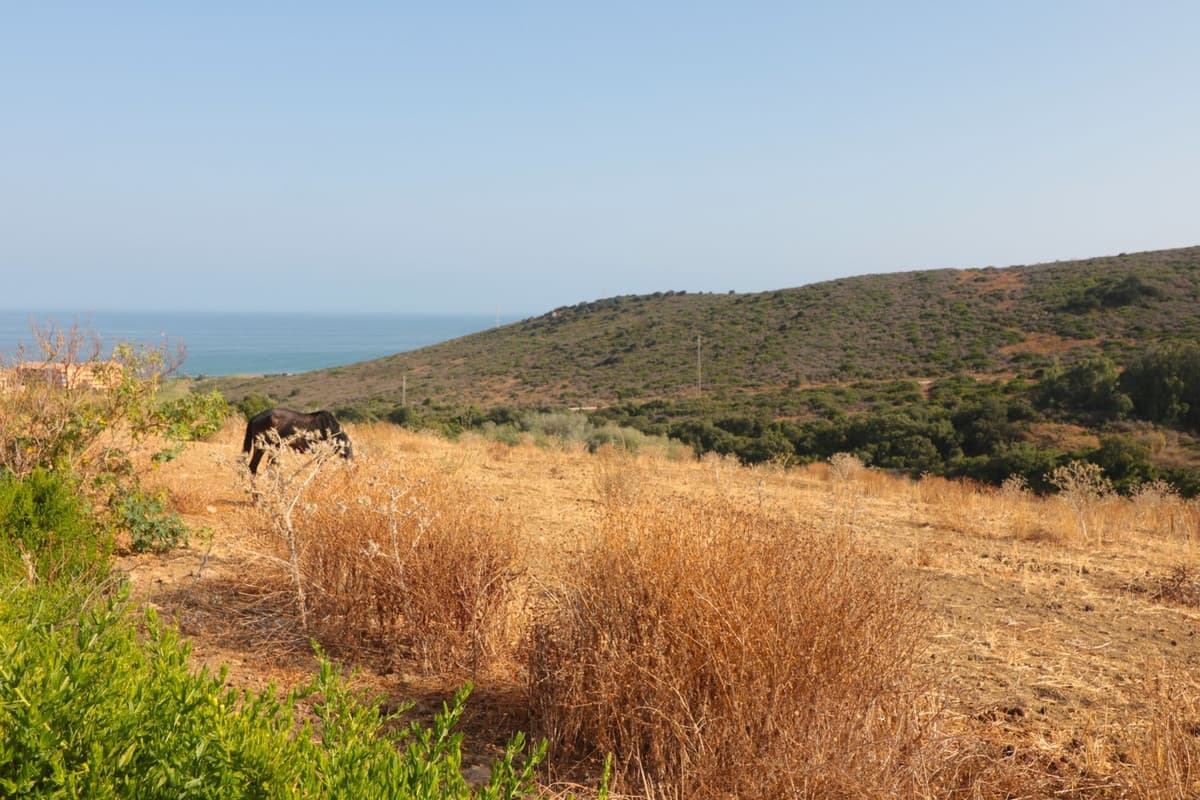 Land with Ruin in Manilva — photo 2 of 10