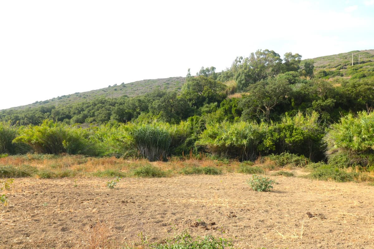 Land with Ruin in Manilva — photo 6 of 10