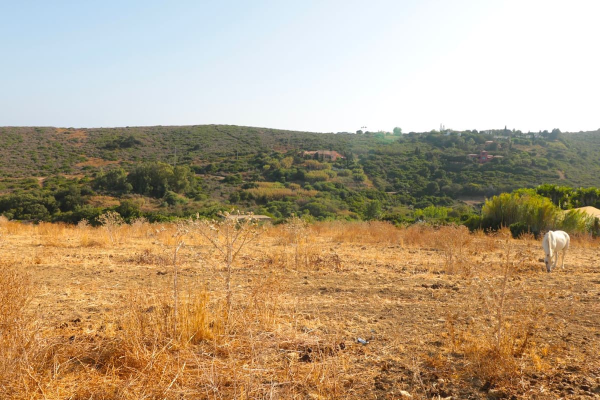 Land with Ruin in Manilva — photo 7 of 10