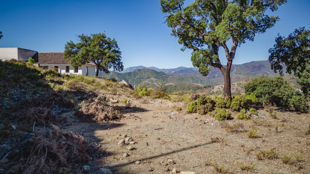 Residential Plot in La Zagaleta — photo 6 of 9