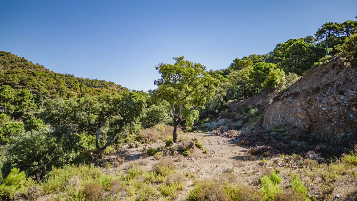 Residential Plot in La Zagaleta — photo 8 of 9