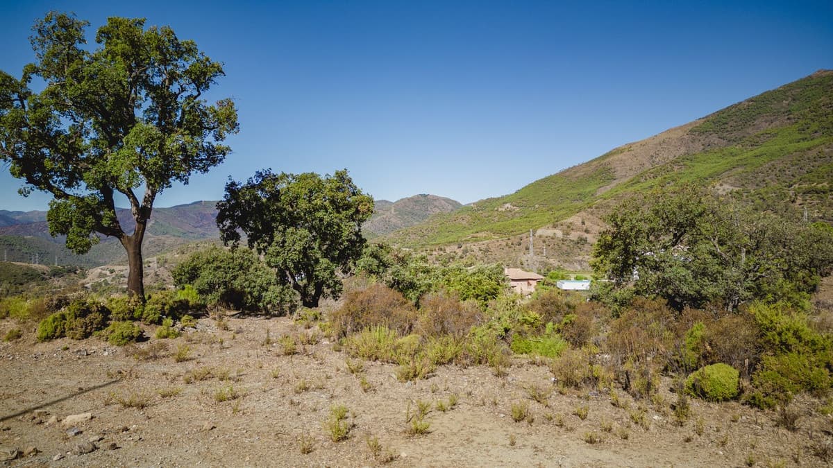 Residential Plot in La Zagaleta — photo 9 of 9