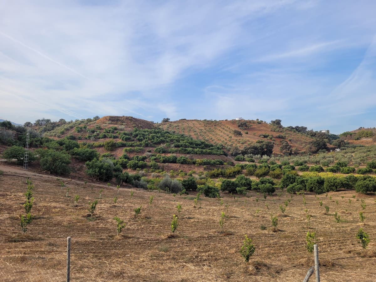 Land in Guaro — photo 1 of 9