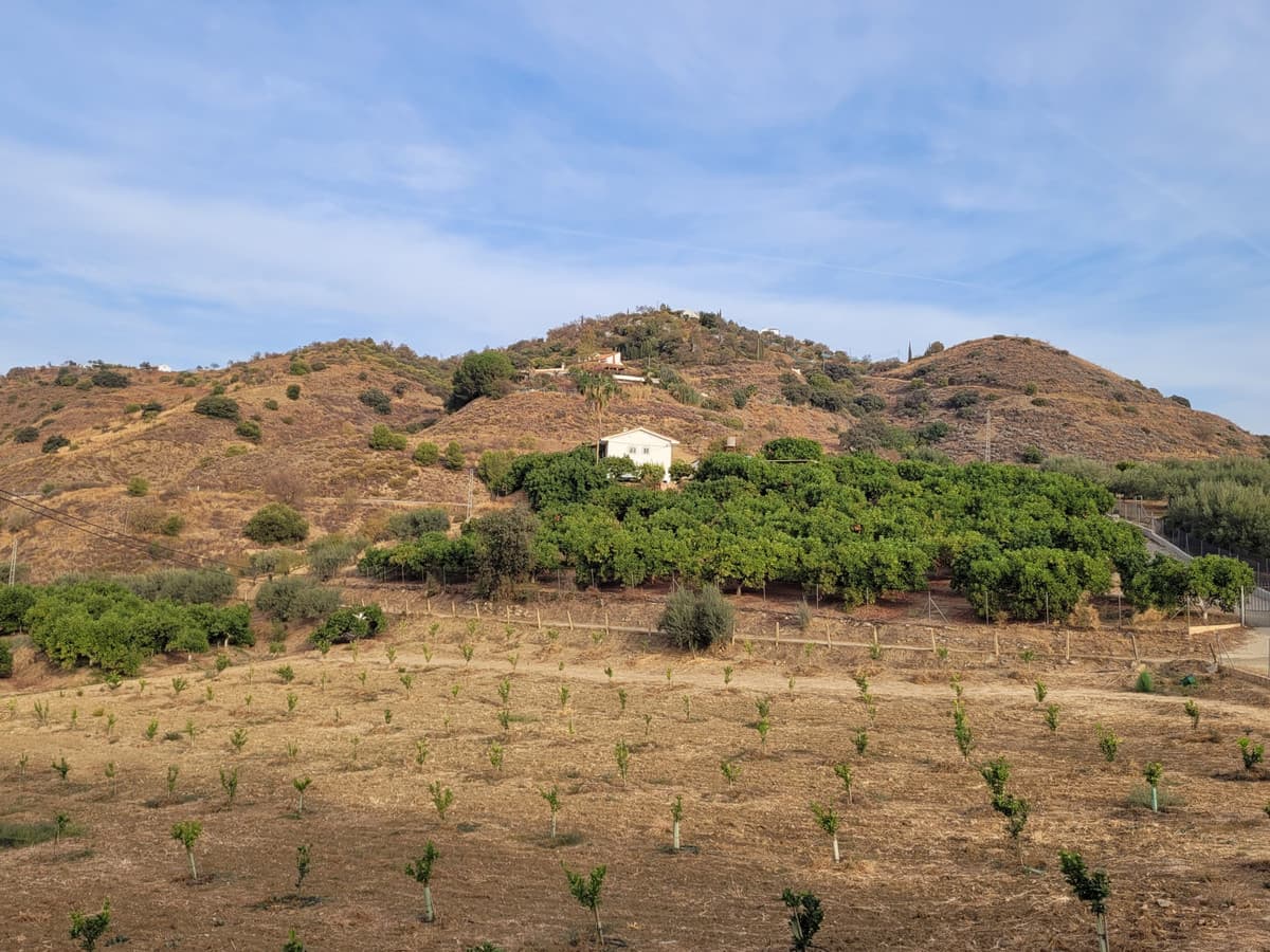 Land in Guaro — photo 2 of 9