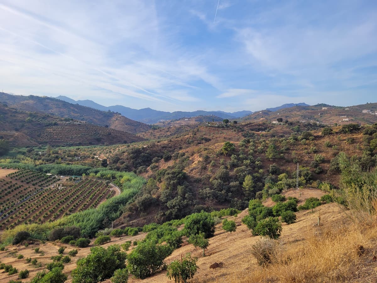 Land in Guaro — photo 3 of 9
