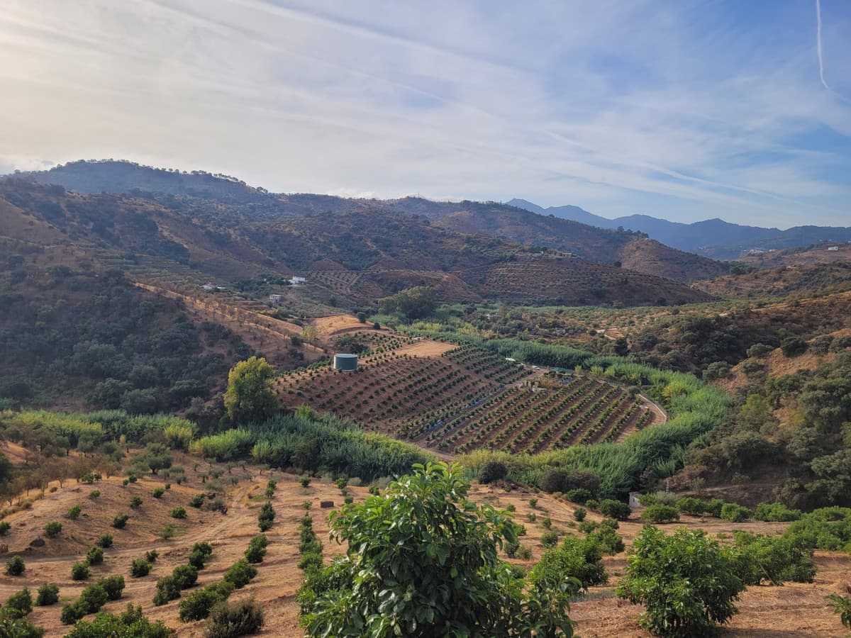Land in Guaro — photo 4 of 9