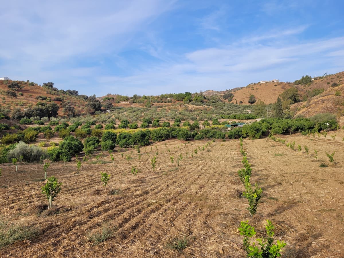 Land in Guaro — photo 5 of 9
