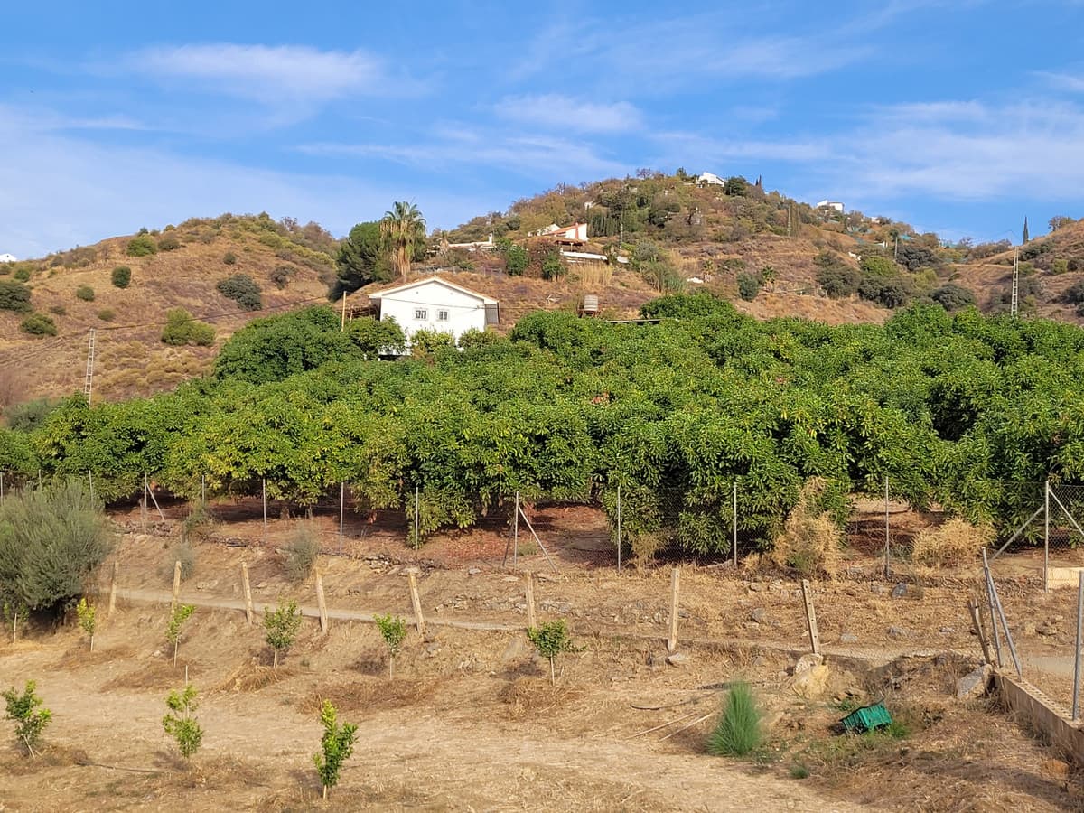 Land in Guaro — photo 6 of 9