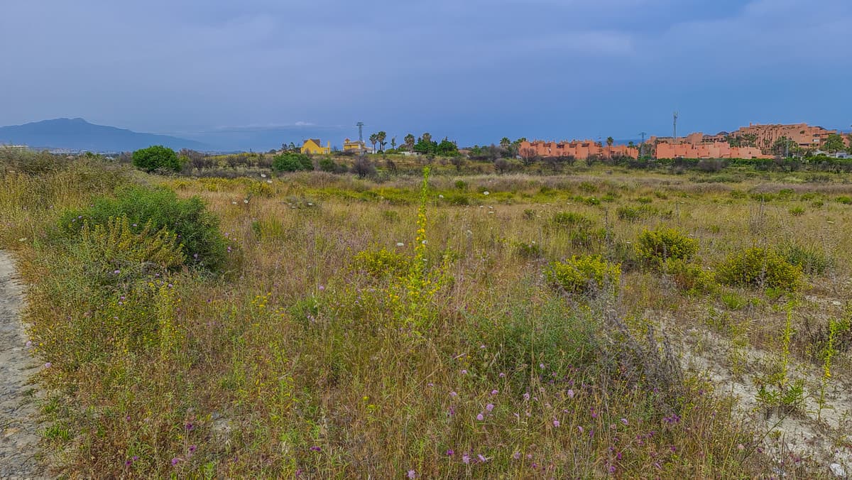 Residential Plot in New Golden Mile — photo 10 of 10
