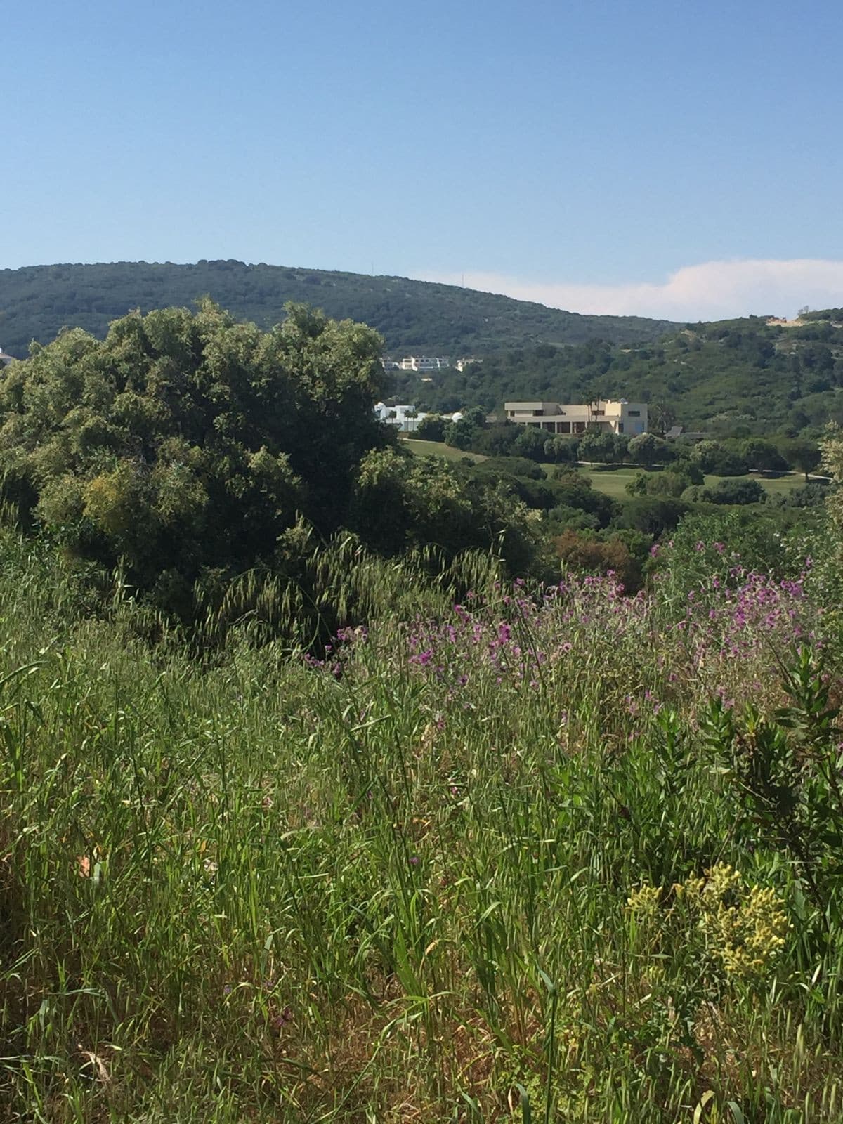 Residential Plot in Sotogrande — photo 5 of 8