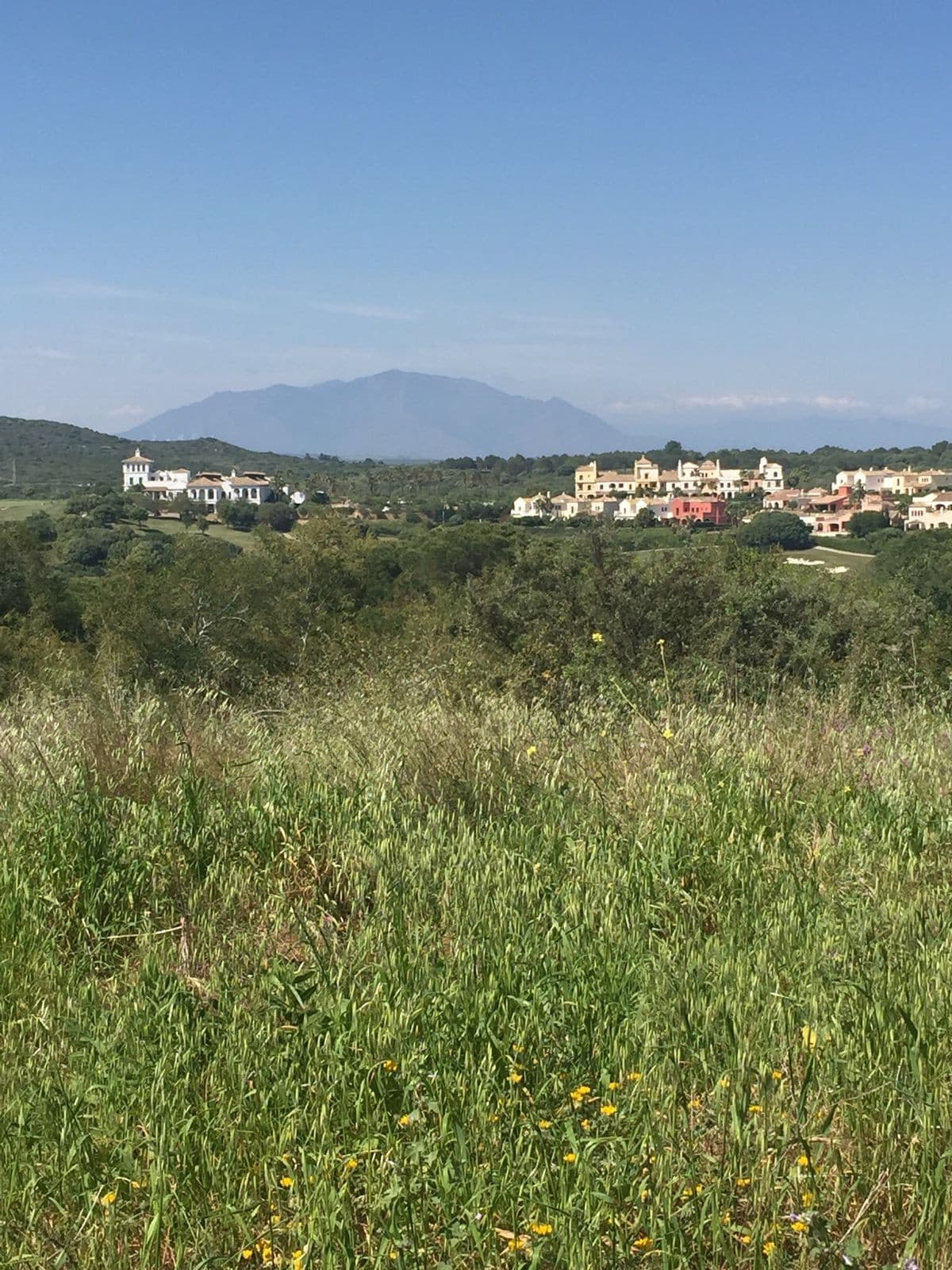 Residential Plot in Sotogrande — photo 6 of 8