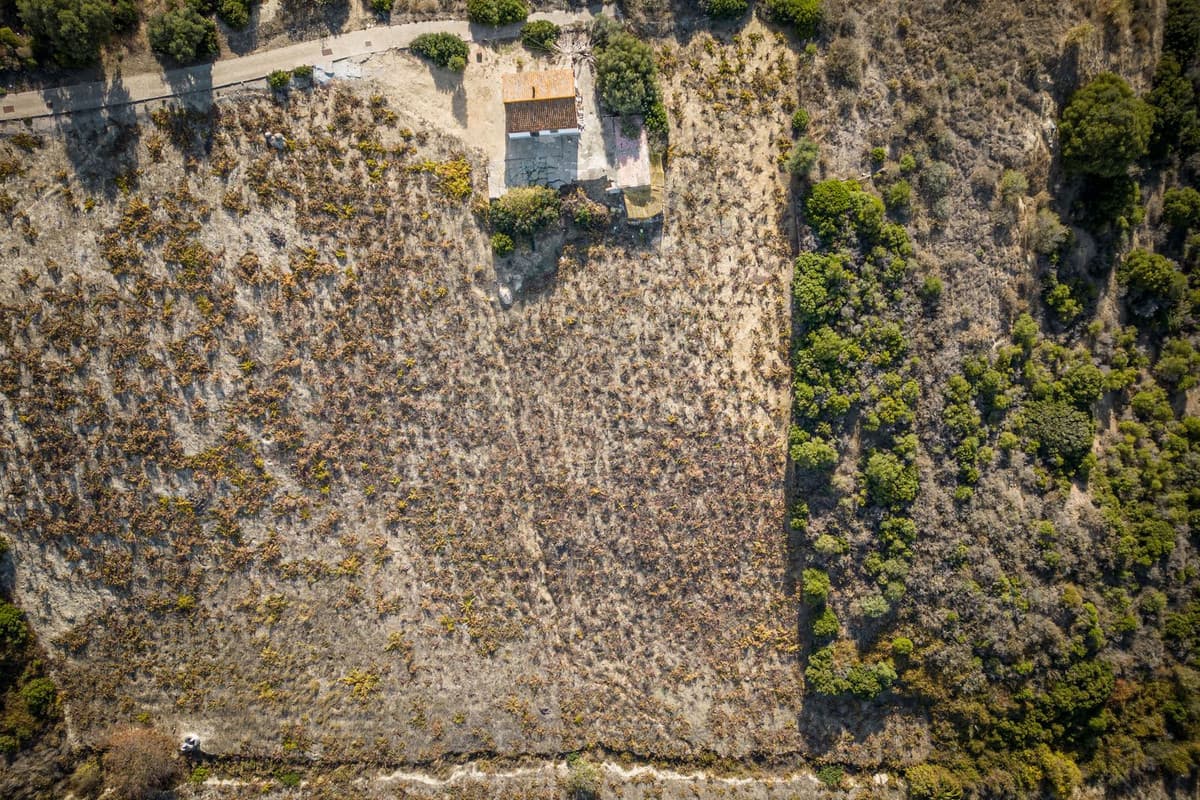 Cortijo in Manilva — photo 5 of 10
