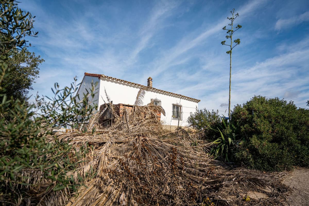 Cortijo in Manilva — photo 8 of 10