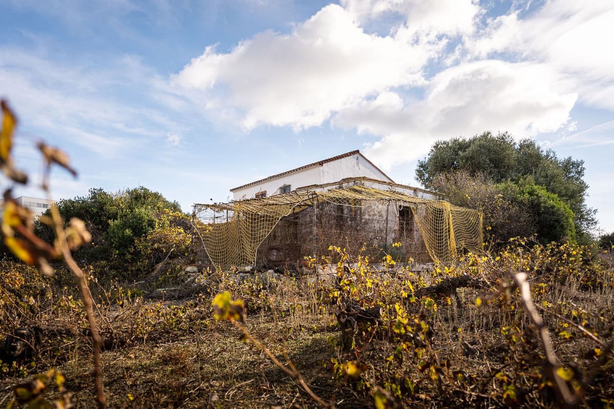 Cortijo in Manilva — photo 9 of 10