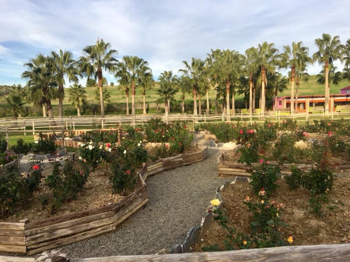 Cortijo in Coín — photo 8 of 10