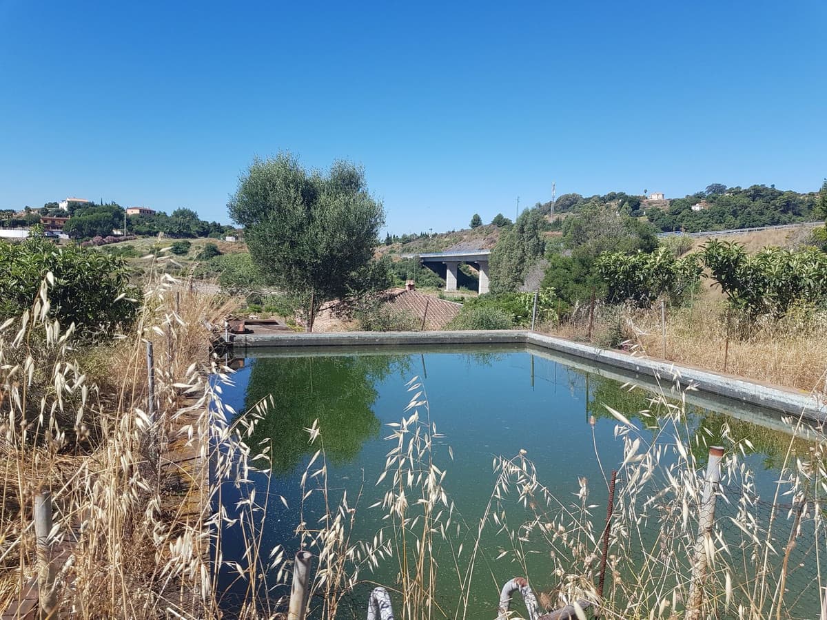 Cortijo in Estepona — photo 1 of 10