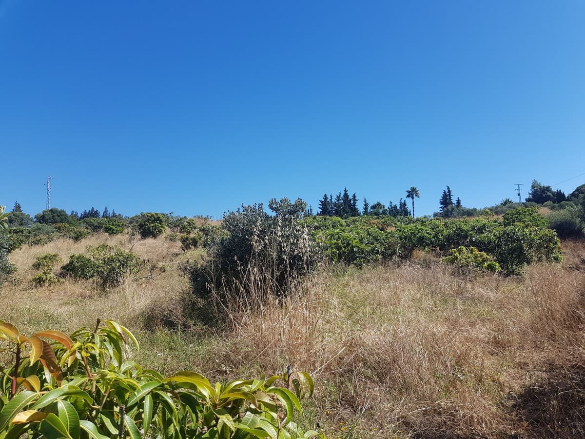 Cortijo in Estepona — photo 6 of 10