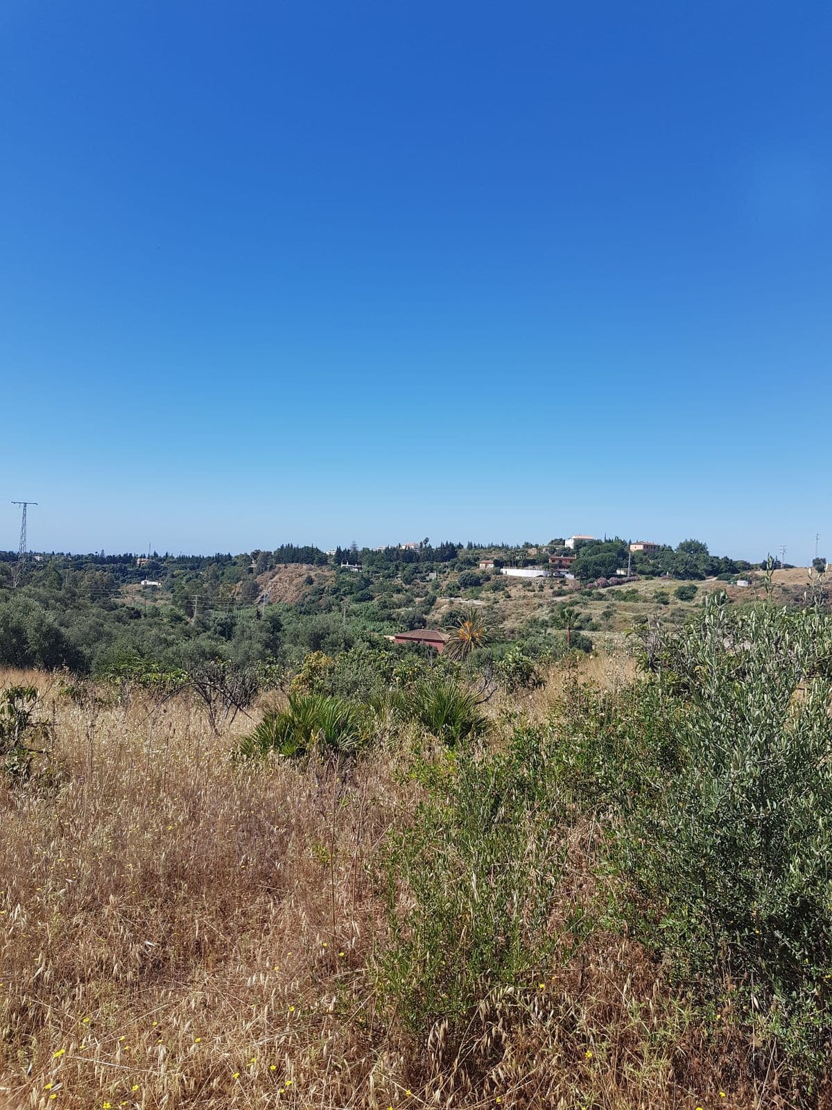 Cortijo in Estepona — photo 9 of 10