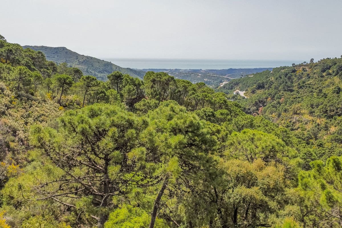 Land in Benahavís — photo 5 of 10