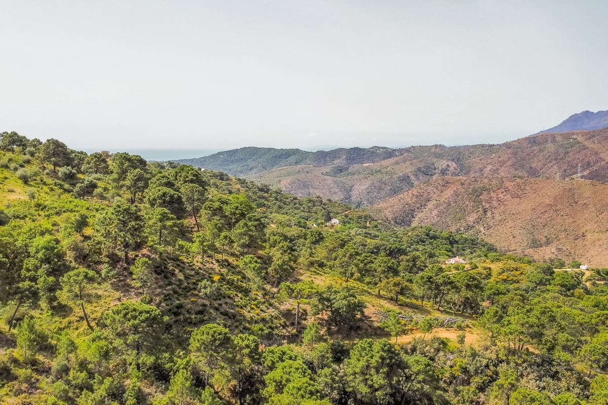 Land in Benahavís — photo 6 of 10