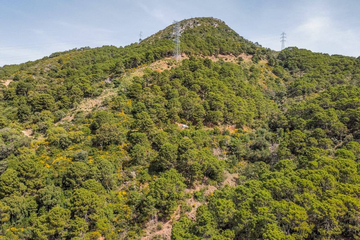 Land in Benahavís — photo 10 of 10