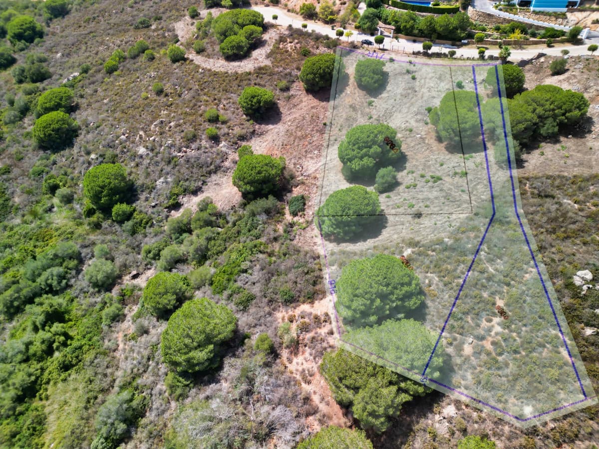Land in Sotogrande Alto — photo 10 of 10
