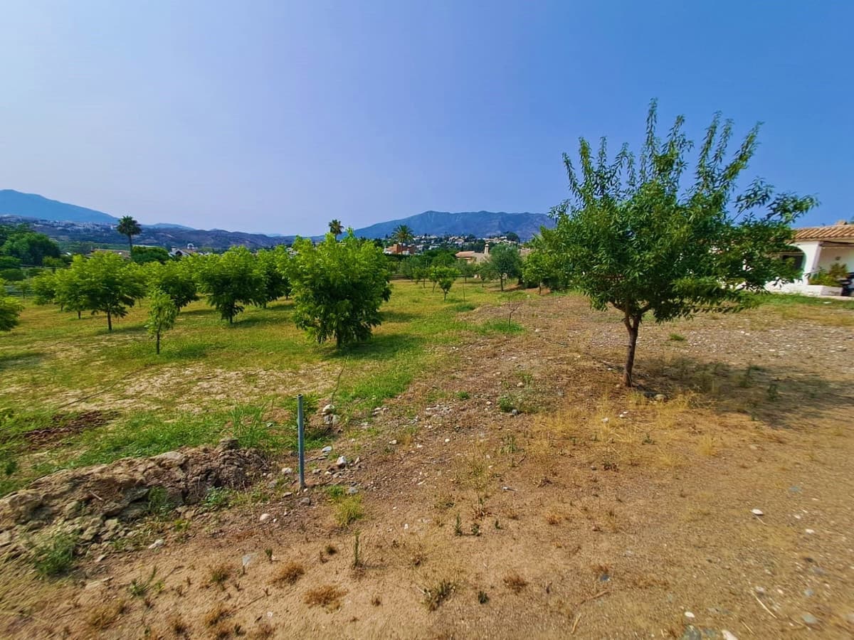 Cortijo in Las Lagunas — photo 10 of 10