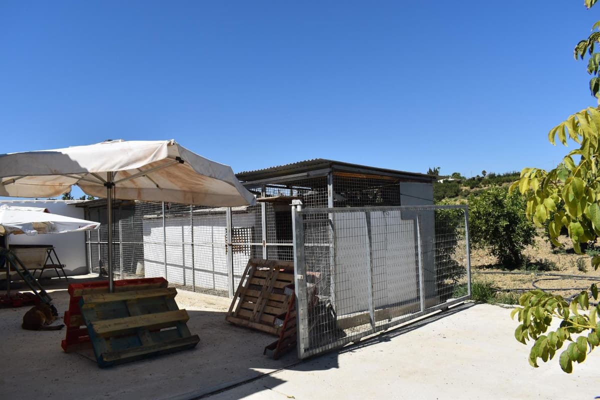 Cortijo in Alhaurín el Grande — photo 4 of 10
